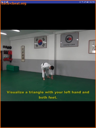 Traditional Hapkido 1 screenshot