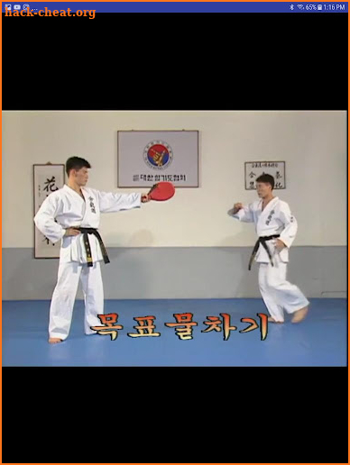 Traditional Hapkido 1 screenshot
