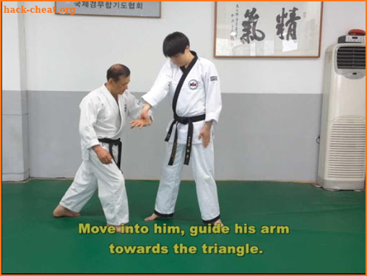 Traditional Hapkido 2 screenshot