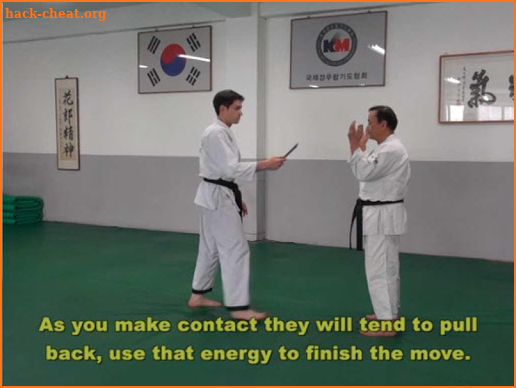 Traditional Hapkido 4 screenshot