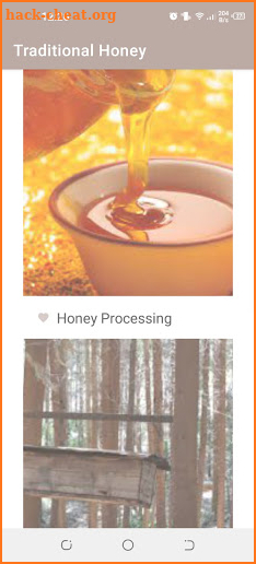 Traditional  honey processing screenshot