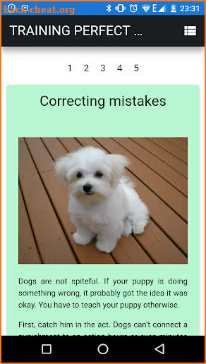 Training perfect puppy screenshot