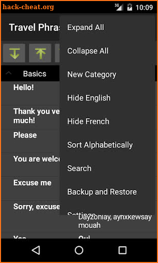 Travel Phrases - French screenshot