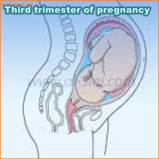 Treatment of the third trimester of pregnancy screenshot