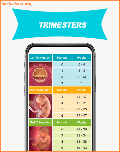 Trimester Of Pregnancy Tracker screenshot