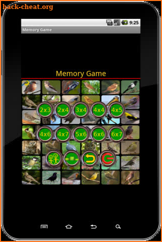 True Birds Memory Game screenshot