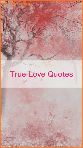True Love Quotes screenshot