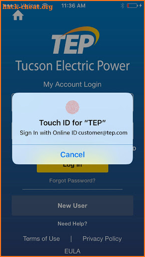 Tucson Electric Power screenshot