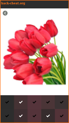Tulip Flower Coloring Pages - Color By Number screenshot