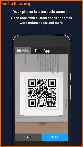Tulip Interfaces Player screenshot