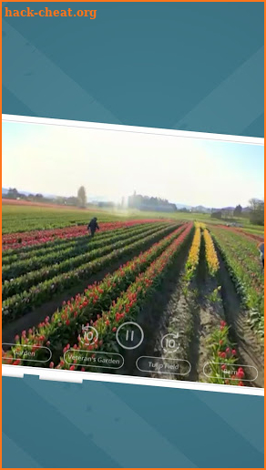 Tulip Town 360 Tour screenshot