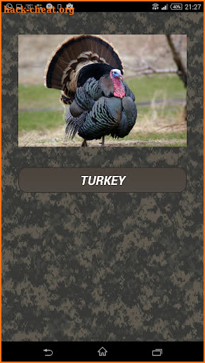 Turkey hunting calls: Hunting sounds Mating calls. screenshot