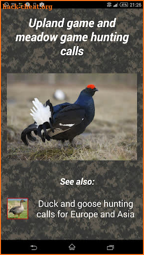 Turkey hunting calls: Hunting sounds Mating calls. screenshot