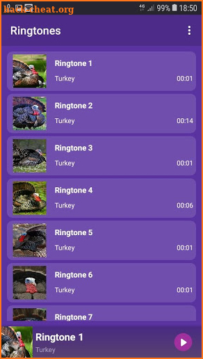 Turkey - RINGTONES and WALLPAPERS screenshot