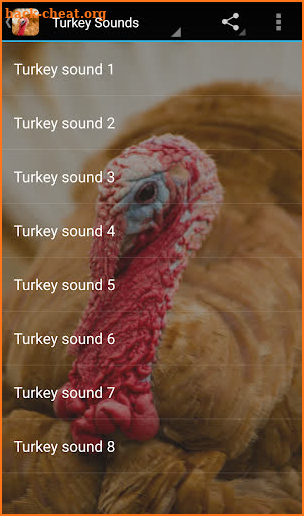 Turkey Sounds screenshot