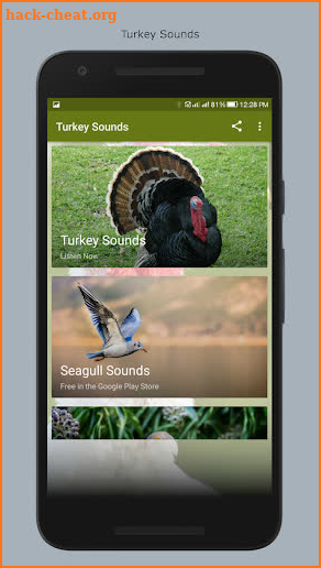 Turkey Sounds screenshot