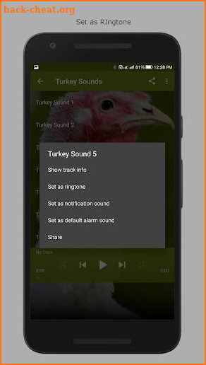 Turkey Sounds screenshot