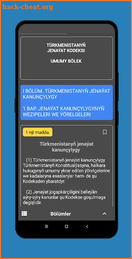 Türkmenistanyň Jenaýat kodeksi screenshot