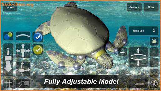 Turtle Mannequin screenshot