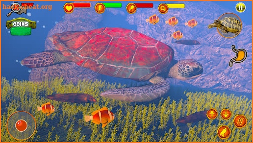 Turtle Survival Adventure: Sea Animal Games 2020 screenshot