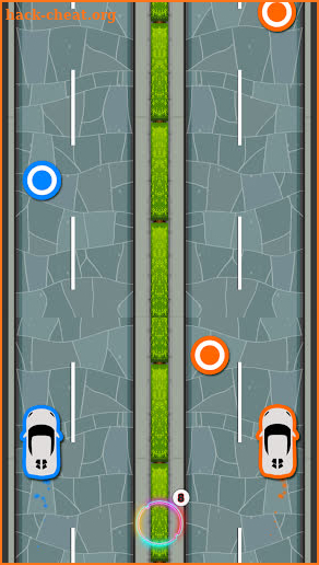 Twins Car Race screenshot