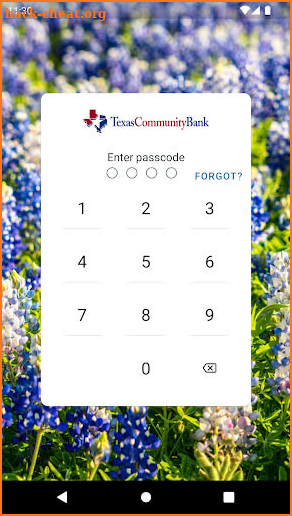 TX Community Bank screenshot