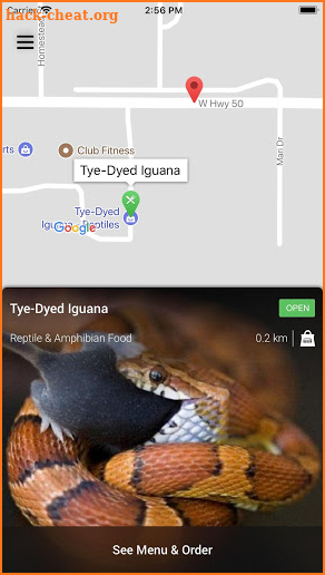 Tye-Dyed Iguana screenshot