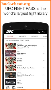 UFC screenshot