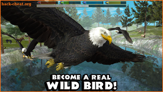 Ultimate Bird Simulator screenshot