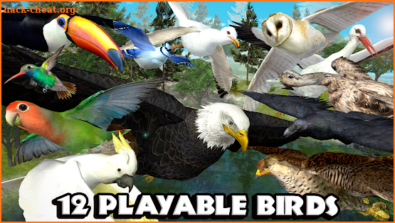 Ultimate Bird Simulator screenshot