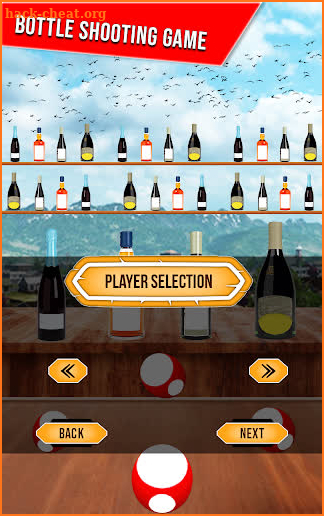 Ultimate Bottle Shooting Game screenshot