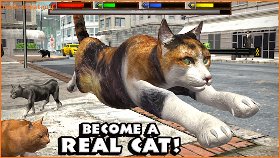 Ultimate Cat Simulator screenshot