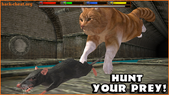 Ultimate Cat Simulator screenshot
