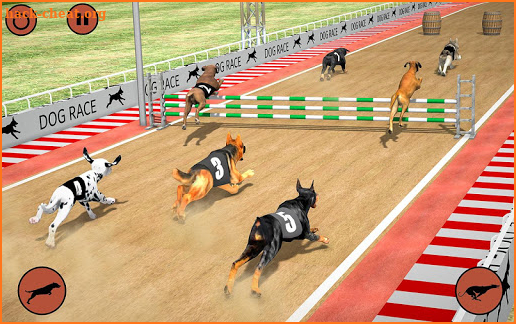 Ultimate Dog Racing: Wild Animal Racing Simulator screenshot