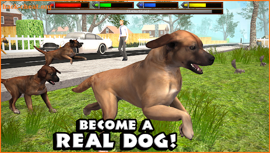 Ultimate Dog Simulator screenshot