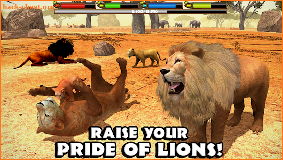 Ultimate Lion Simulator screenshot