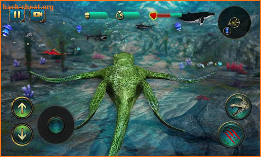 Ultimate Ocean Predator 2016 screenshot