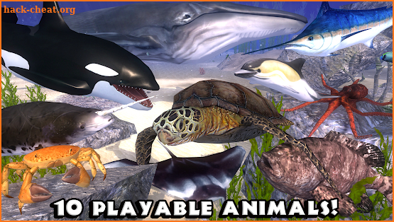 Ultimate Ocean Simulator screenshot