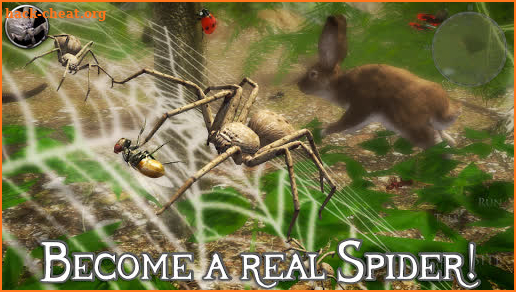 Ultimate Spider Simulator 2 screenshot