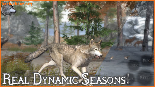 Ultimate Wolf Simulator 2 screenshot