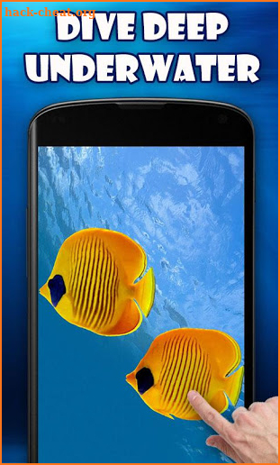 Underwater World HD Wallpaper screenshot