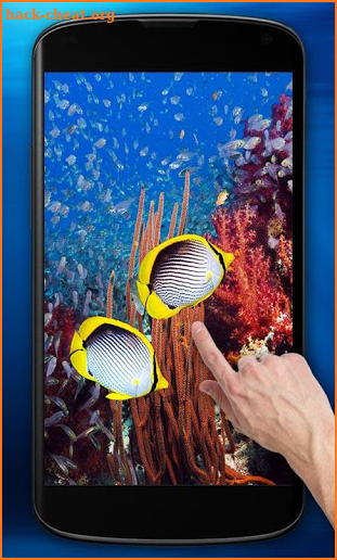 Underwater World HD Wallpaper screenshot
