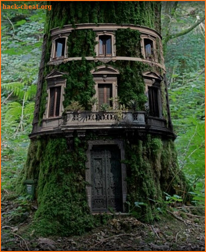 Unique Tree House Design screenshot