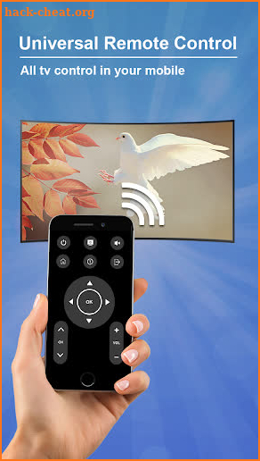 Universal TV Remote Control IR screenshot