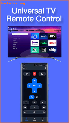 Universal TV Remote Controller screenshot