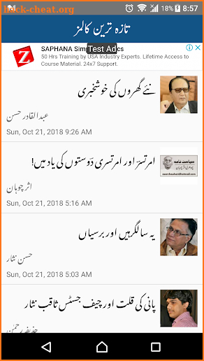 Urdu Columns screenshot