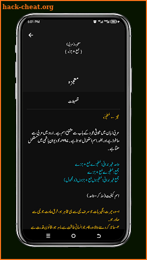Urdu Lughat Dictionary Pro screenshot