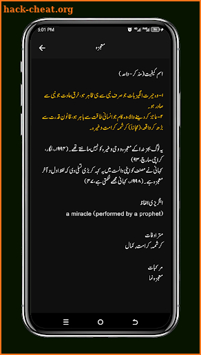 Urdu Lughat Dictionary Pro screenshot