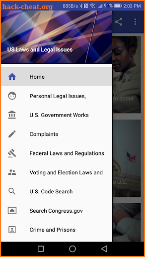 US Laws and Legal Issues screenshot