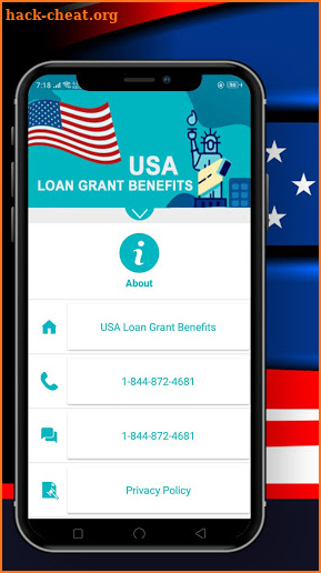 USA Loan Grant Benefits screenshot
